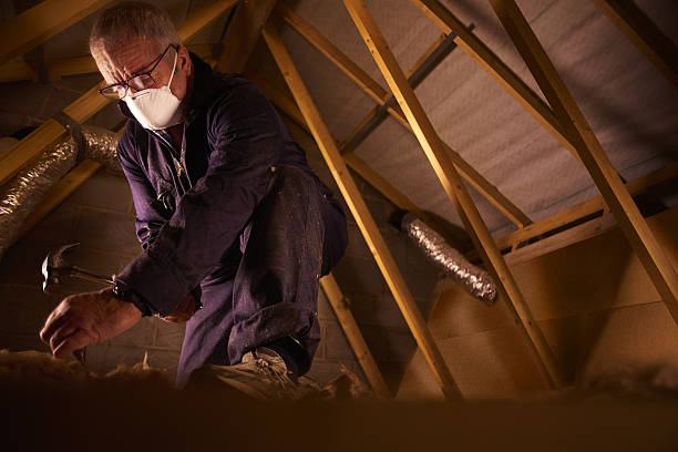 Best Insulation Installation Services in Kalida, OH