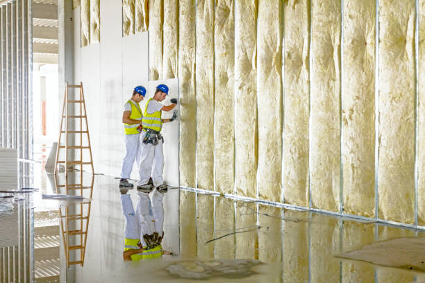 Best Commercial Insulation in Kalida, OH